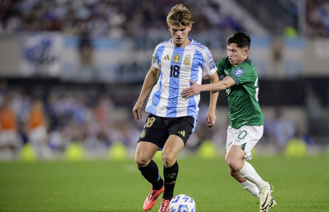 更偏向SE 更偏向SE